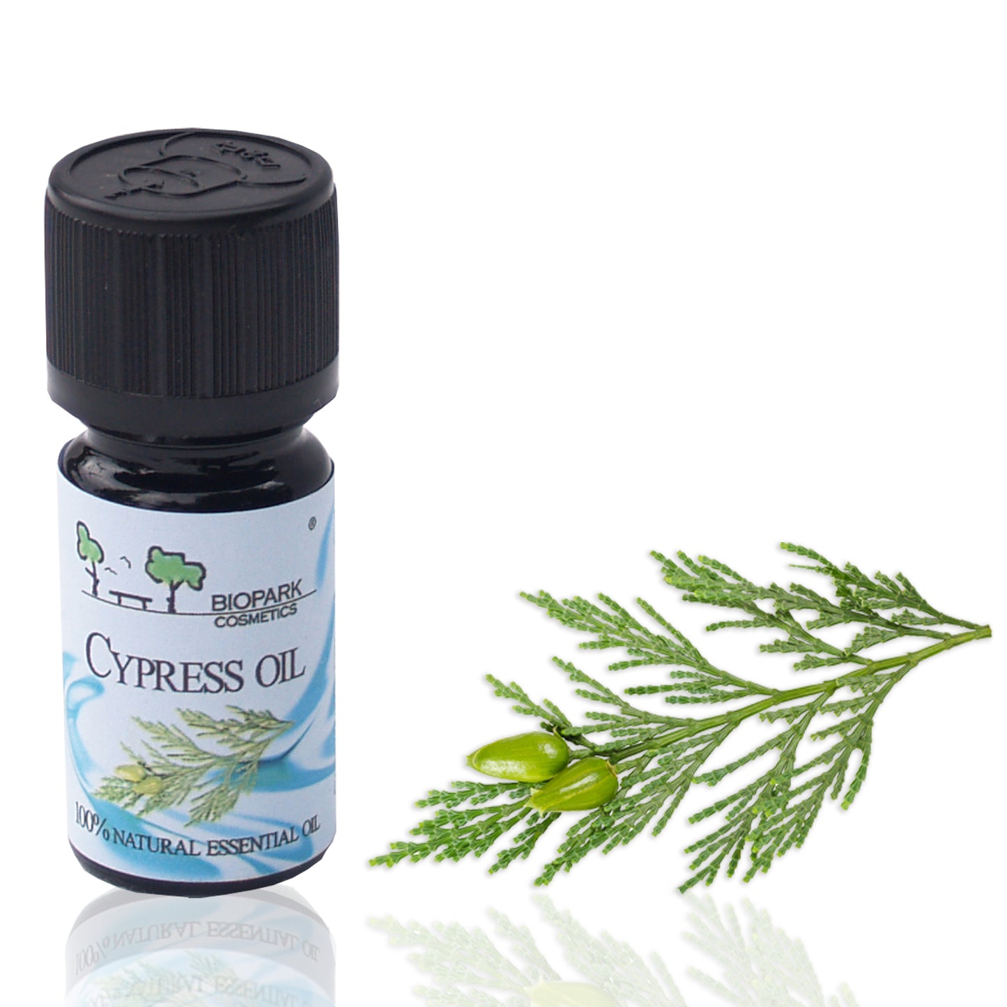 100% Natural Cypress Essential Oil 5ml