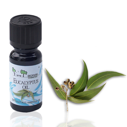 100% Natural Eucalyptus Essential Oil 10ml