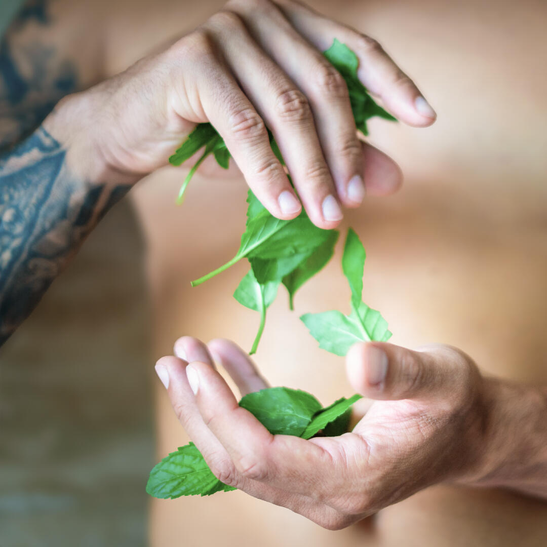 Shower gel for MEN 3-in-1 with Willow bark & Mint Energy 500ml