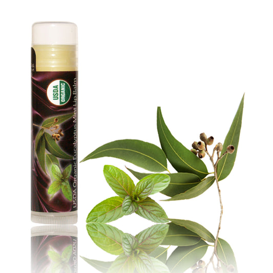 Eucalyptus & Mint Lip Balm Organic
