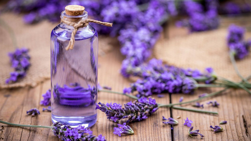 13 Surprising Benefits of Lavender Essential Oil