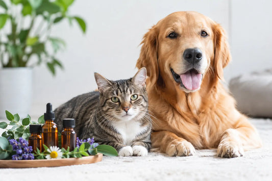 Are Essential Oils Safe for Pets? A Practical Guide