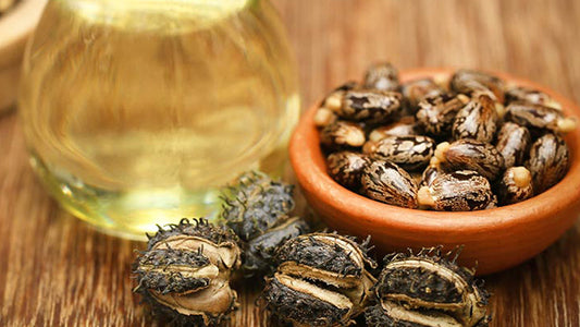 30 Organic Castor Oil Uses and Benefits