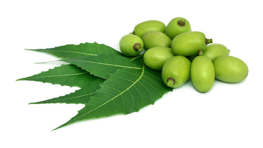 37 amazing uses of NEEM oil
