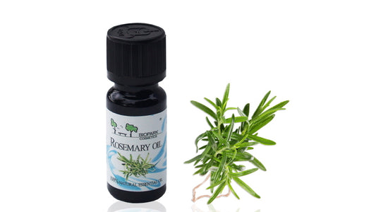 9 Benefits of Rosemary Essential Oil