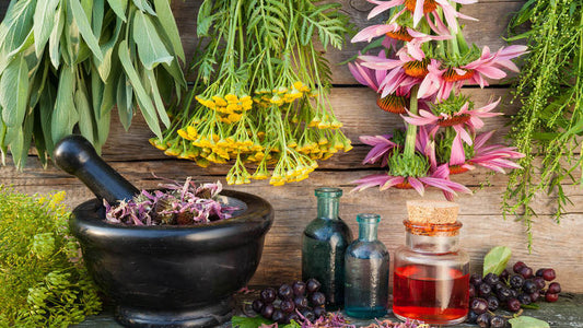 101 Essential Oil Uses Benefits