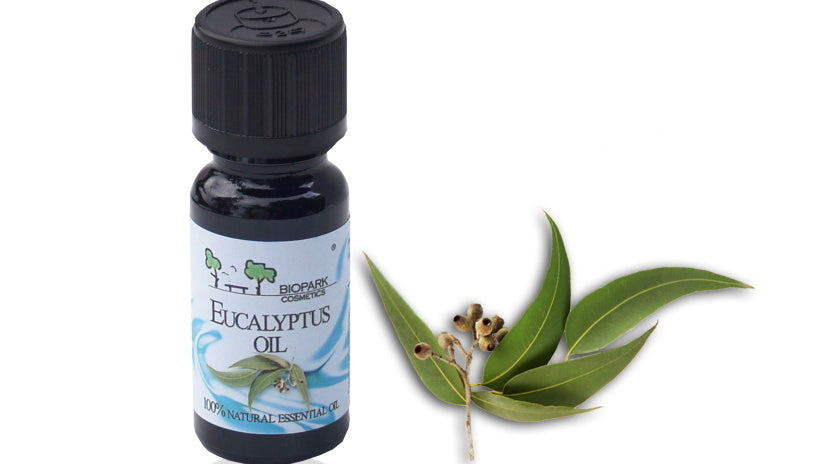 20 Benefits of Eucalyptus Essential Oil