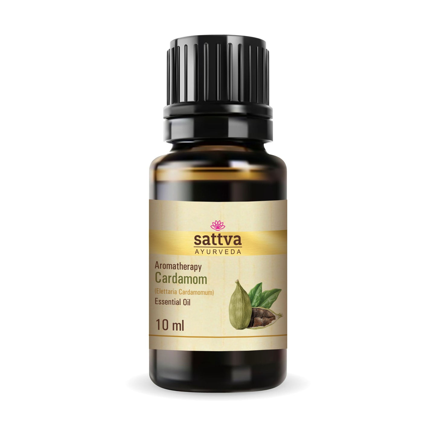 100% Natural Cardamom Essential Oil 10ml