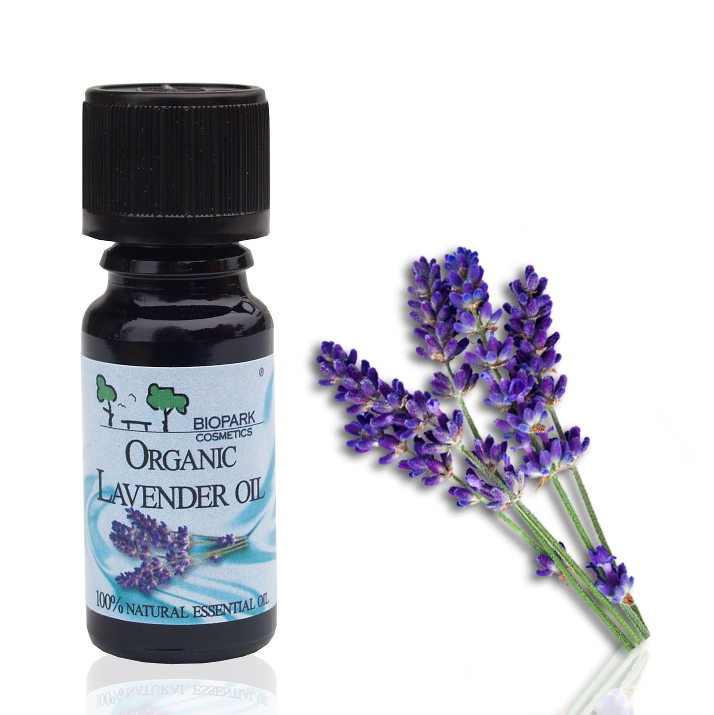 Organic Lavender Essential Oil 10 ml