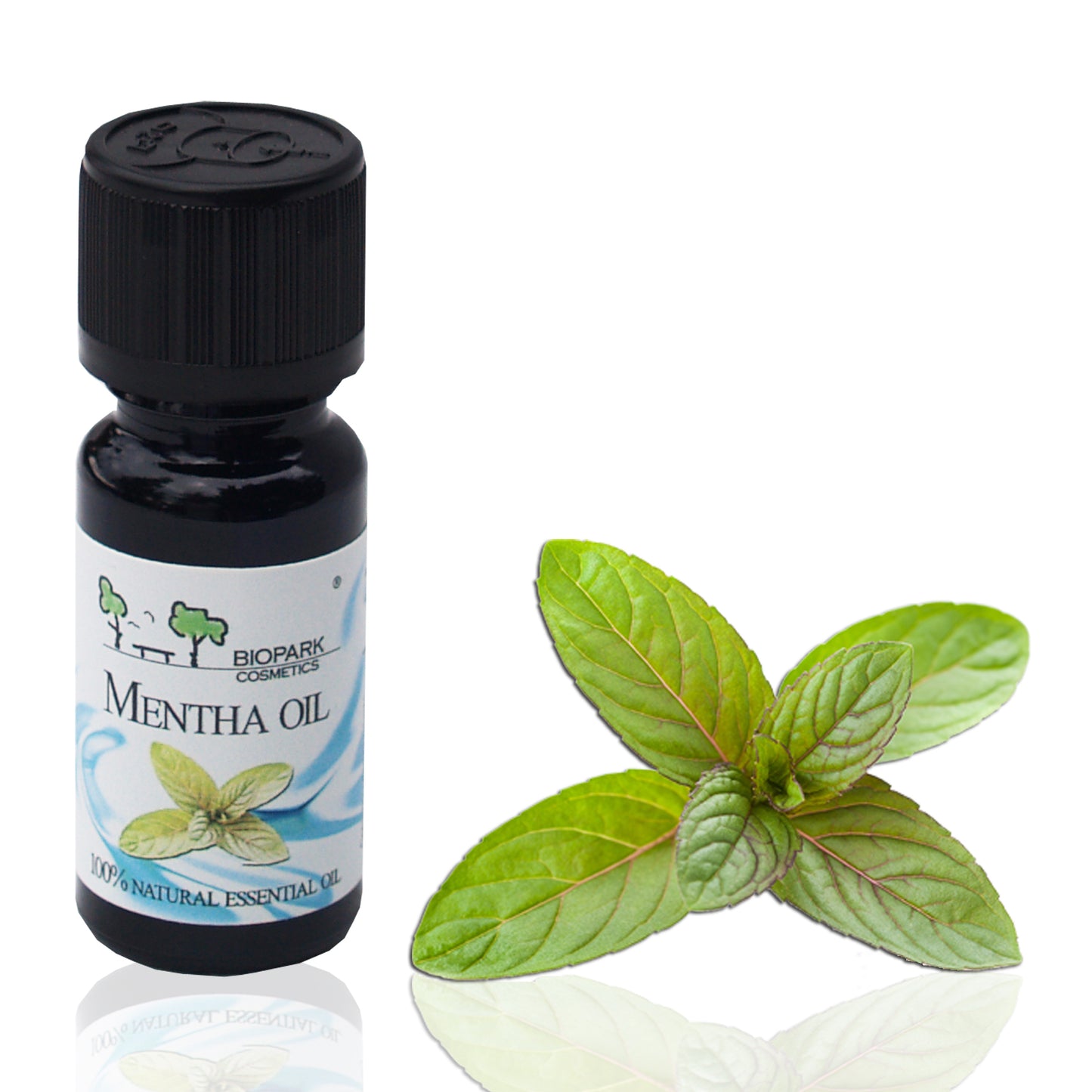 Olio essenziale di menta 100% naturale 10 ml