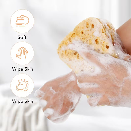 Seaweed Exfoliating Sponge – Natural Deep Cleansing & Gentle Body Scrub 14x10cm