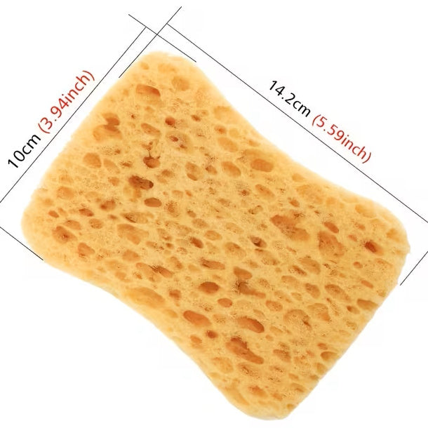 Seaweed Exfoliating Sponge – Natural Deep Cleansing & Gentle Body Scrub 14x10cm