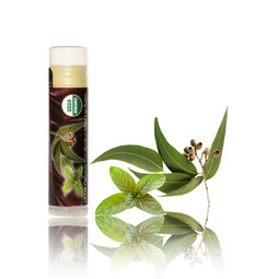 Eucalyptus & Mint Lip Balm Organic