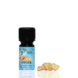 Ginger Oil Essential Oil 10ml