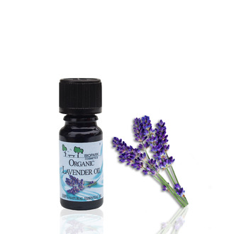 Lavender Essential Oil Organic 10 ml