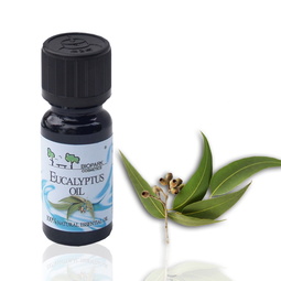 20 Benefits of Eucalyptus Essential Oil