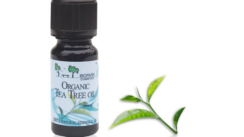 20 Benefits of Tea Tree Essential Oil