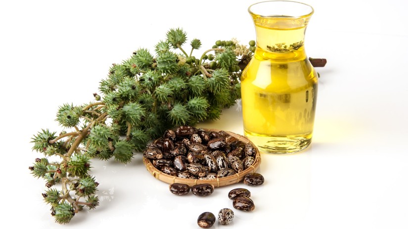 Organic Castor oil offers numerous benefits