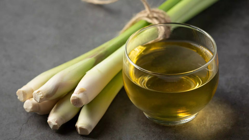 12 Benefits of Lemongrass: The All-Rounder Herb for Health, Skin, and Hair